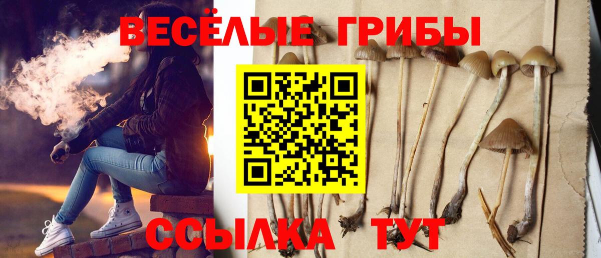Псилоцибиновые грибы Psilocybe Алапаевск