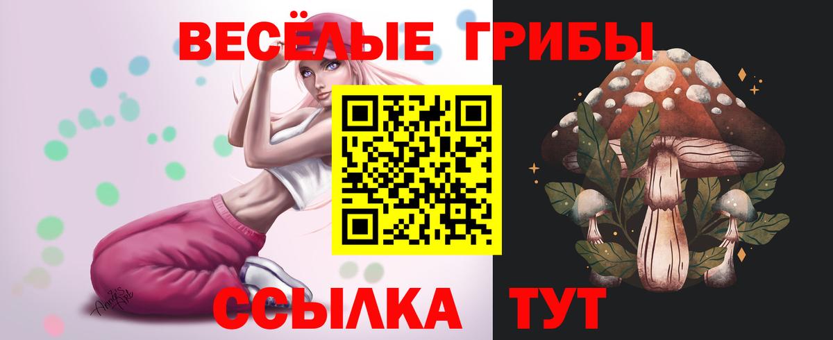 Псилоцибиновые грибы Magic Shrooms  Галлюциногенные грибы прущие грибы  даркнет сайт  Вход с VPN  Алапаевск 